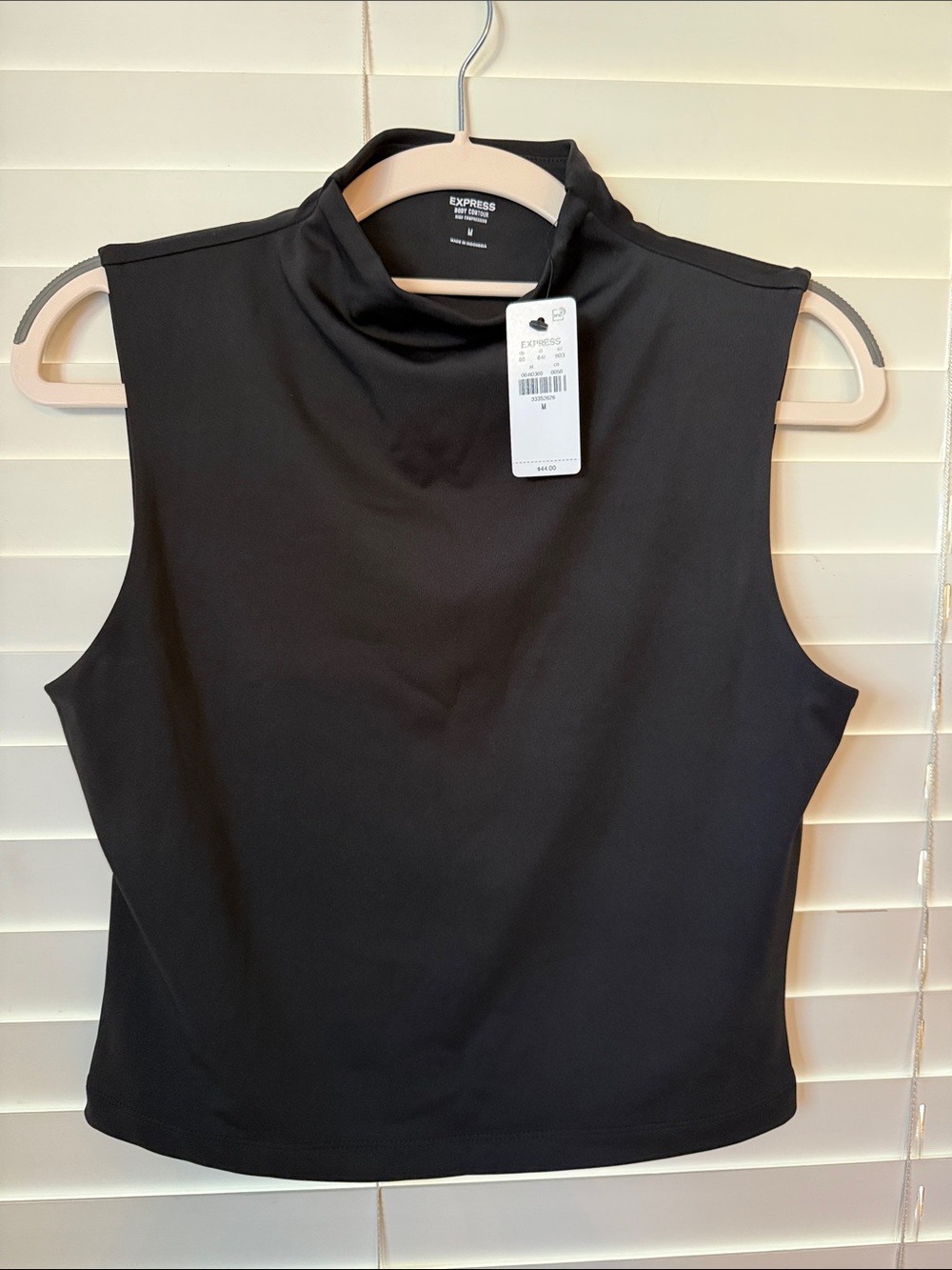 Express Black Sleeveless Mock Neck Camisole